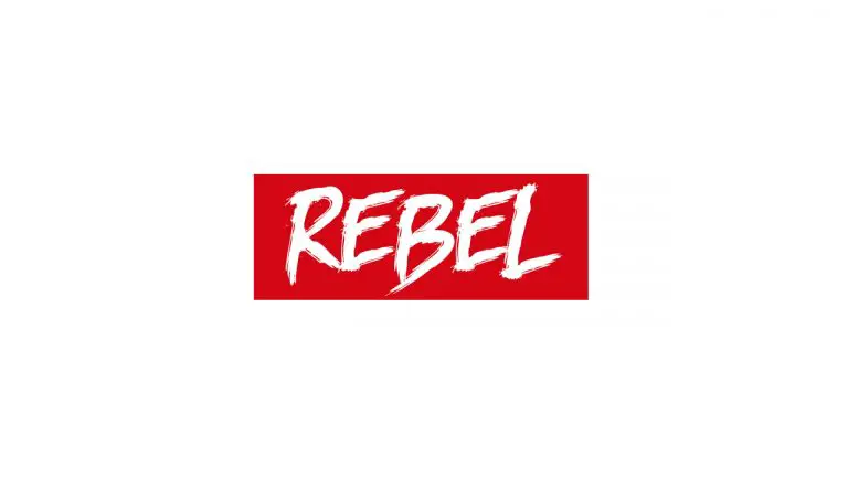 The Final, Final Design - Rebel Dad Hat Vol. 2 | Collabs | LIVING LIFE FEARLESS