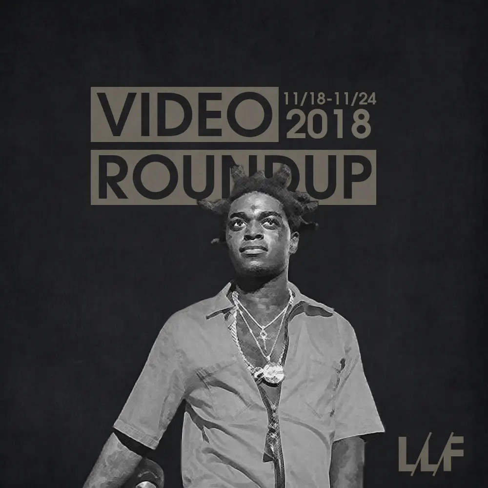 Video Roundup 11/18-11/24 | Reactions | LIVING LIFE FEARLESS