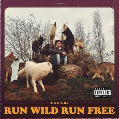 Zacari - Run Wild Run Free | Reactions | LIVING LIFE FEARLESS