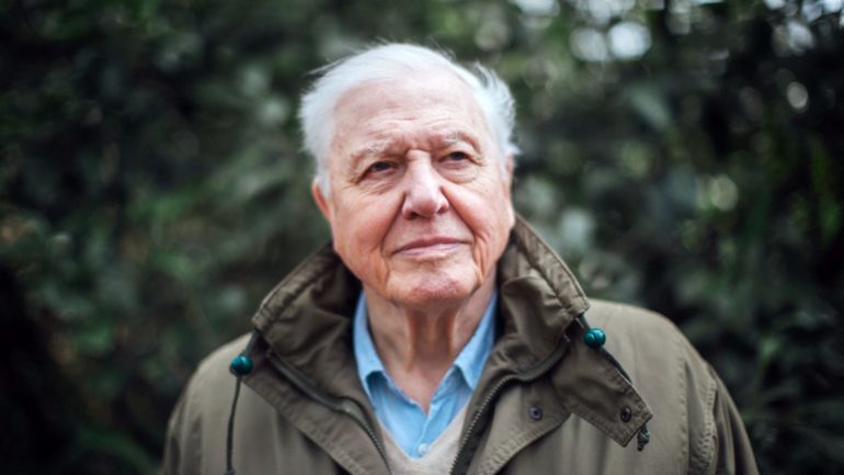 Legendary broadcaster Sir David Attenborough is organizing a competition to remix his old field recordings | News | LIVING LIFE FEARLESS