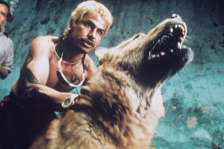 Alejandro González Iñárritu is restoring 'Amores Perros' for its 20th Anniversary | News | LIVING LIFE FEARLESS