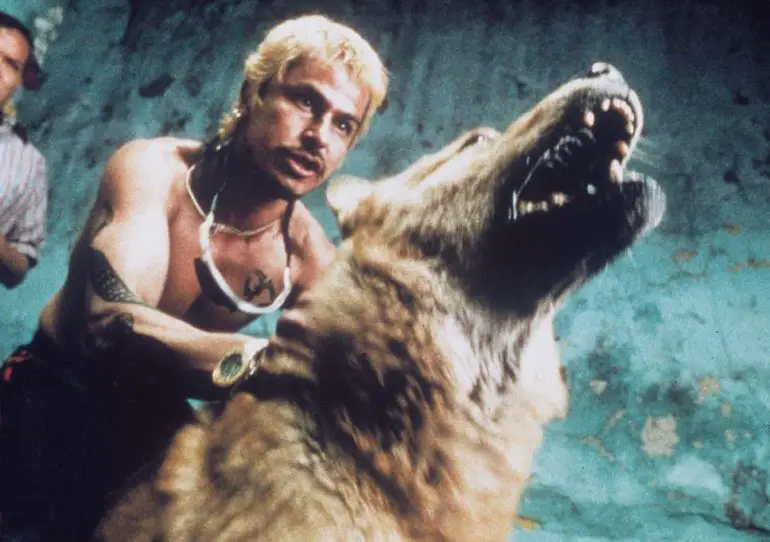Alejandro González Iñárritu is restoring 'Amores Perros' for its 20th Anniversary | News | LIVING LIFE FEARLESS