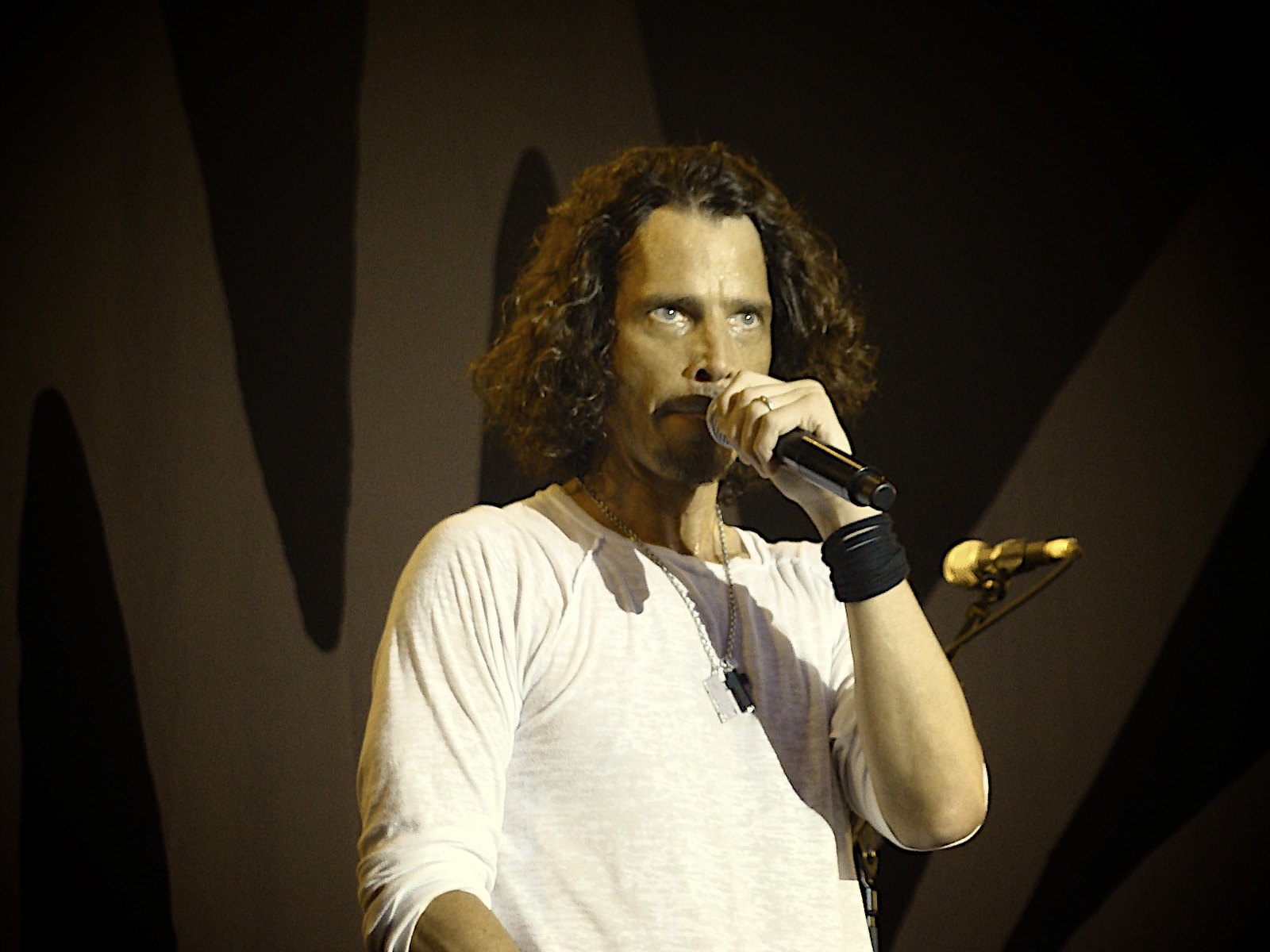 Chris Cornell S Posthumous Cover Of Guns N Roses Patience Released Living Life Fearless