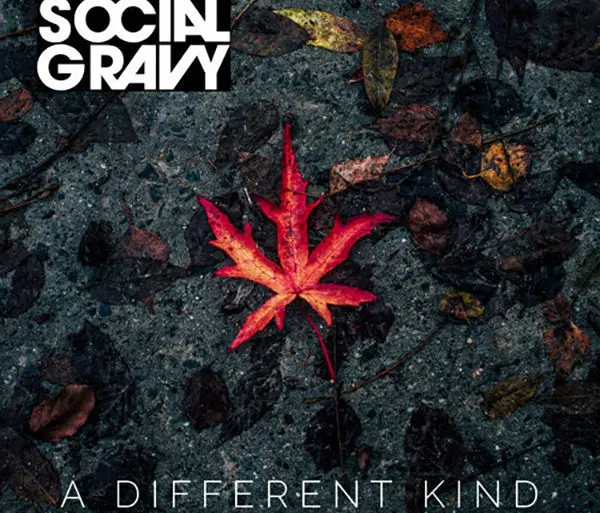 Social Gravy - 'A Different Kind' EP Reaction | Opinions | LIVING LIFE FEARLESS