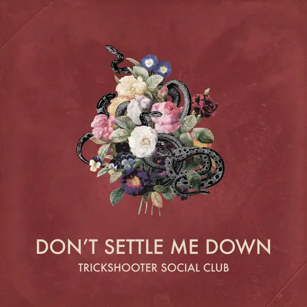 Trick Shooter Social Club - "Don't Settle Me Down" Reaction | Opinions | LIVING LIFE FEARLESS