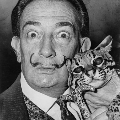 The First Salvador Dali Immersive Experience in the World is Coming to Florida | News | LIVING LIFE FEARLESS