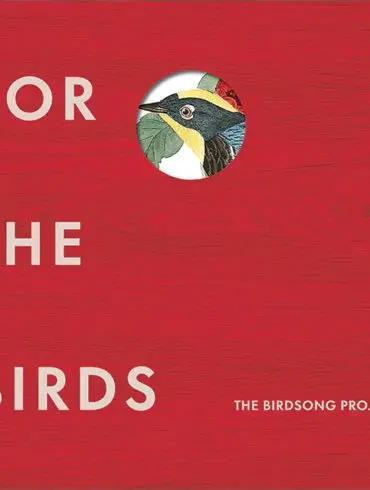 A Massive Compilation Dedicated to Birds, Features a Number of Big Name Artists | News | LIVING LIFE FEARLESS
