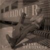 Wayne Merdinger - 'Troubadour' Review | Opinions | LIVING LIFE FEARLESS