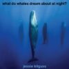 Jessie Kilguss - 'What Do Whales Dream About at Night?' Review | Opinions | LIVING LIFE FEARLESS