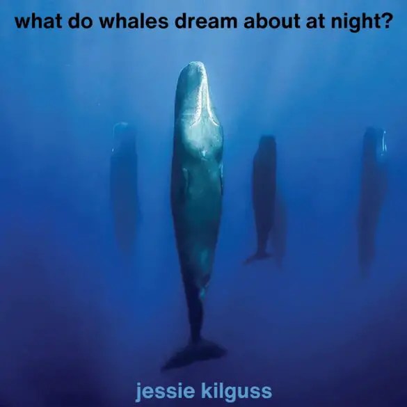 Jessie Kilguss - 'What Do Whales Dream About at Night?' Review | Opinions | LIVING LIFE FEARLESS