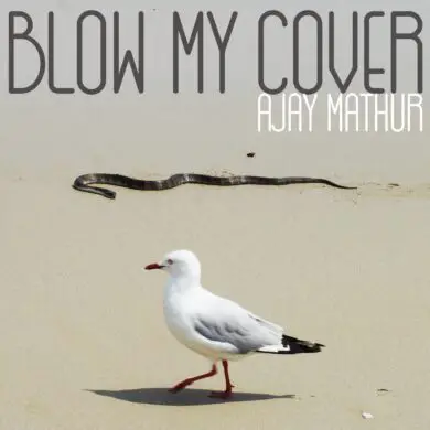 Ajay Mathur - 'Blow My Cover' Review | Opinions | LIVING LIFE FEARLESS