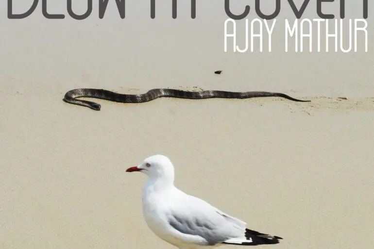 Ajay Mathur - 'Blow My Cover' Review | Opinions | LIVING LIFE FEARLESS