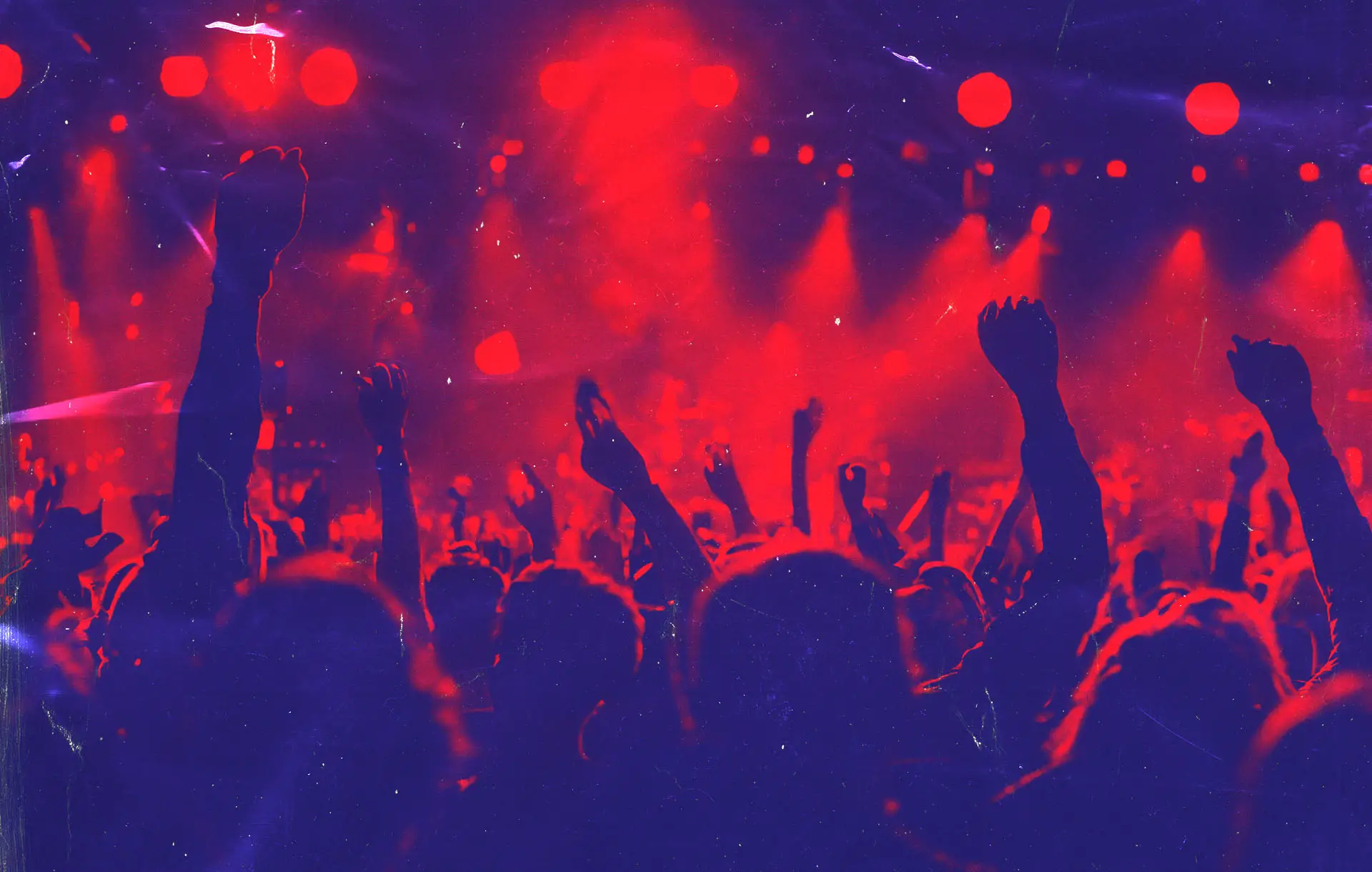 Tips: Why Going to a Concert is a Great Night Out | Features | LIVING LIFE FEARLESS