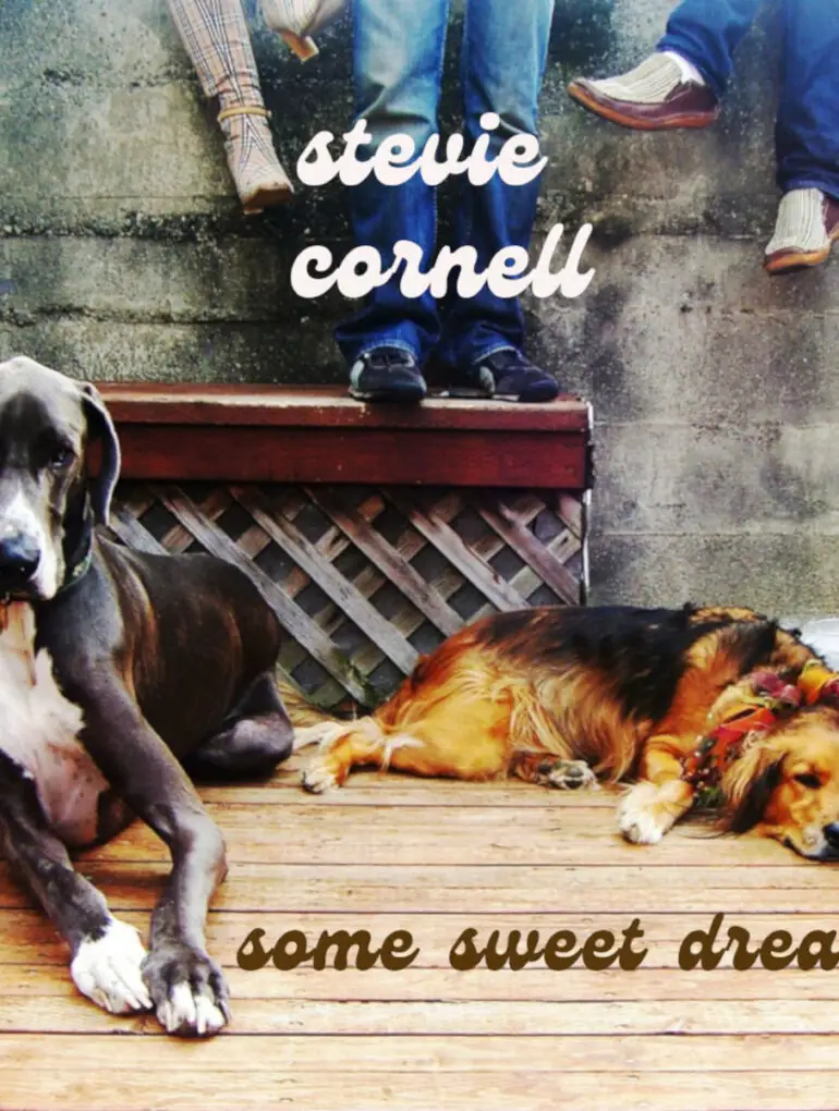 Stevie Cornell - 'Some Sweet Dream' Review | Opinions | LIVING LIFE FEARLESS